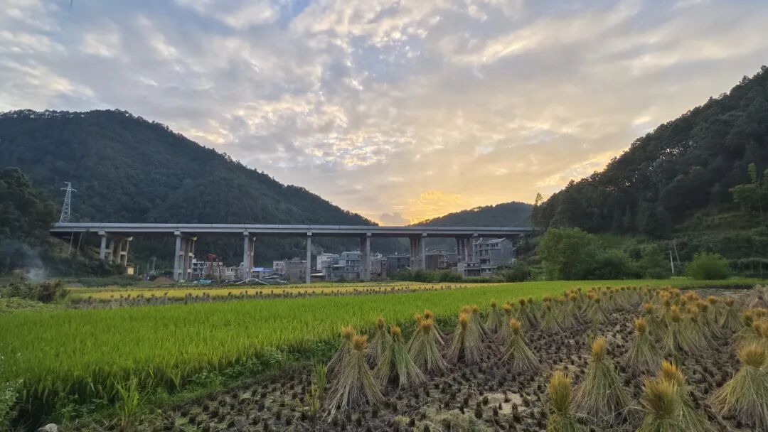 奮戰80天 決勝全年度 | 那興高速土建六分部“鐵三角”+“三保障”全力攻堅通車目標