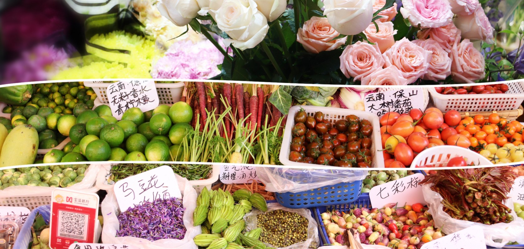 立春，去篆新簽收一束春天