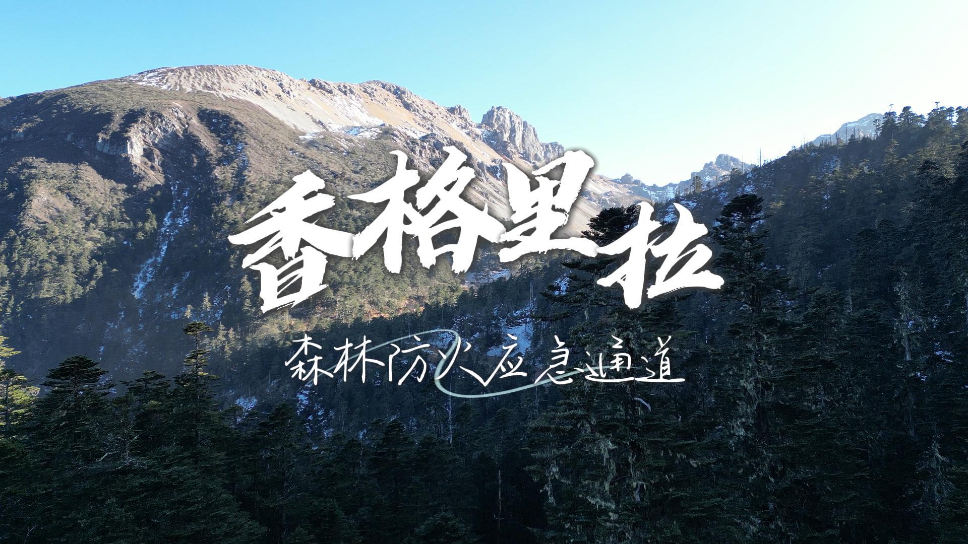 香格里拉森林防火應急通道建設項目